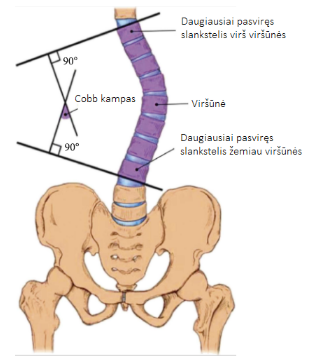 Screenshot%202026-01-30%20135520 Screenshot%202026-01-30%20135520